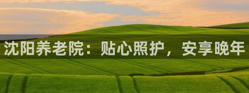 韦德下载