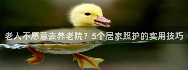 韦德是哪一届
