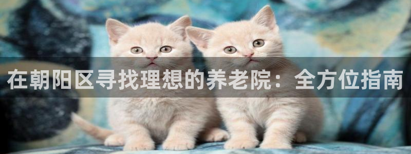 韦德1946体育