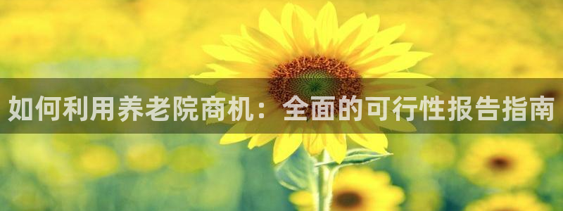 韦德事件