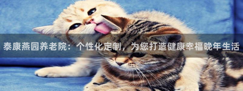 韦德观战总决赛G3