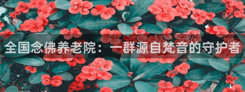韦德事件