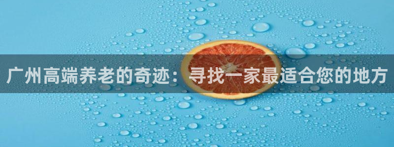 韦德合集