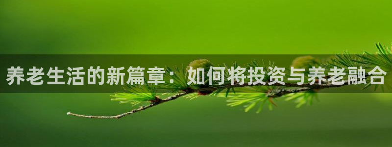 韦德官网在线
