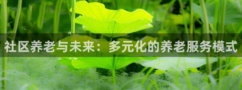 韦德betvlctor1946