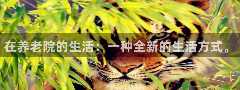 韦德1946网址