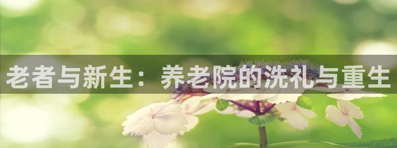 韦德com