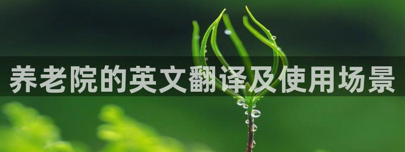 韦德1567