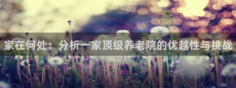 韦德 网站