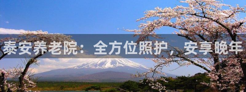 韦德app手机下载