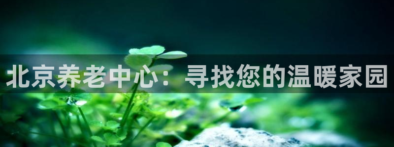 韦德1946官网最新版