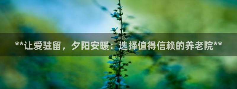 1946 韦德