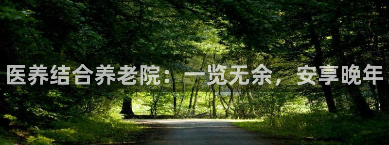 韦德官网注册推荐网站是什么