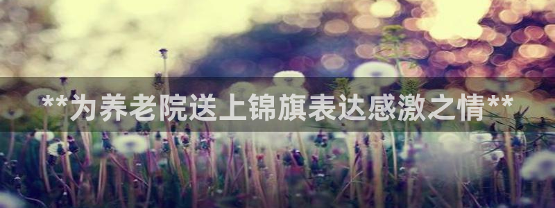 韦德游戏注册需要什么