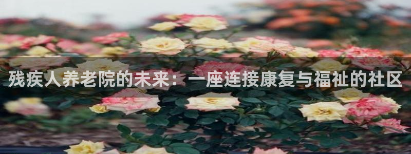 韦德注册手机版