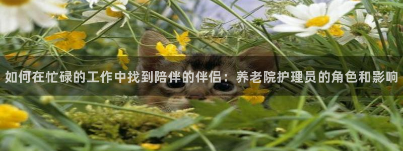 韦德游戏注册要用户口薄