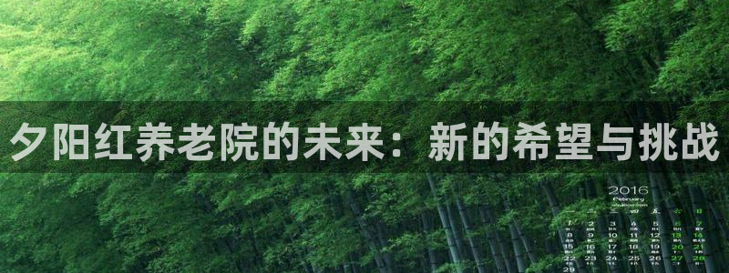 1946韦德找回密码