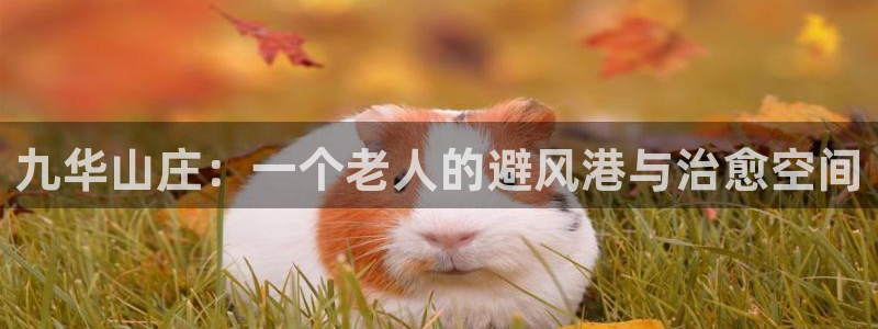 韦德1946官网最新版