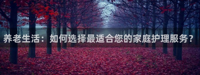 韦德网站是多少