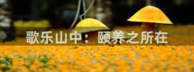 韦德app官方网站