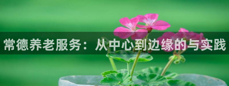 韦德1946官网最新版