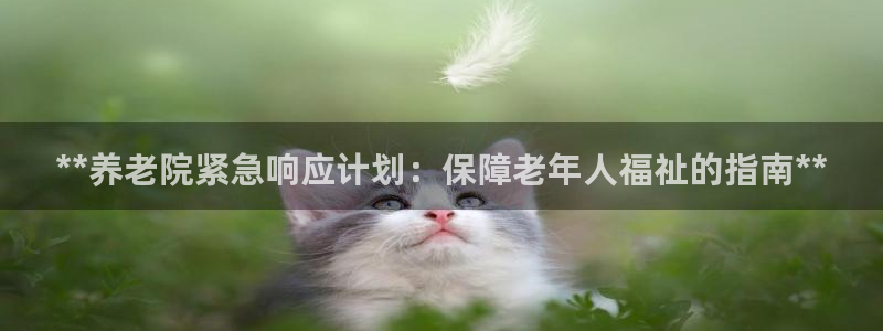 韦德1946娱乐手机版