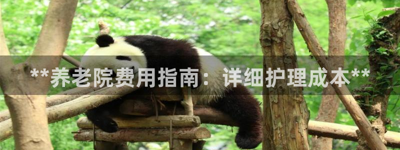 1946韦德找回密码