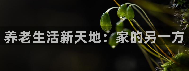 韦德注册手机版下载