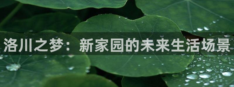 1946韦德找回密码