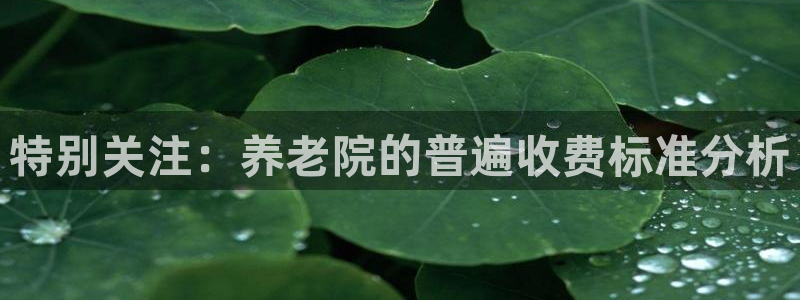 韦德1946官方