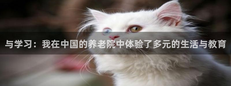 韦德1946网址
