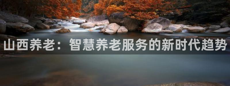 韦德的游戏