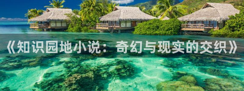 海棠小说网盘：《知识园地小说：奇幻与现实的交织》