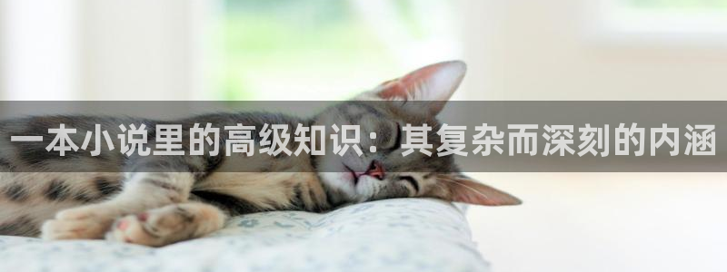 海棠小说双性