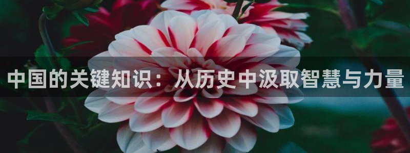 魅魔双男主海棠小说